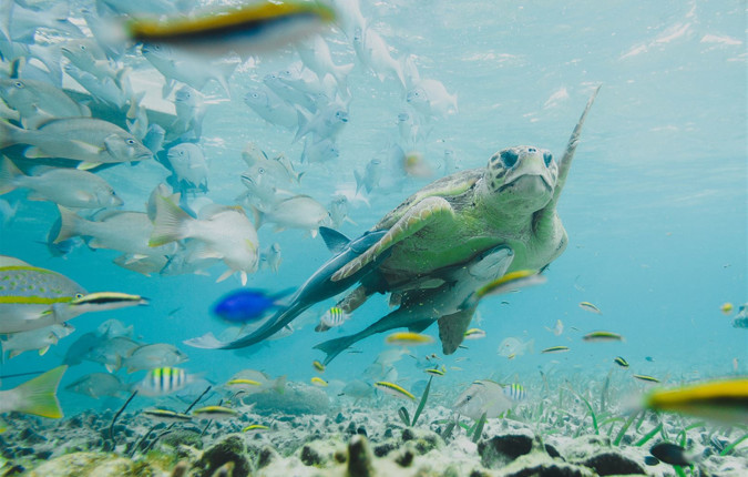Nicaragua to Belize Discovery