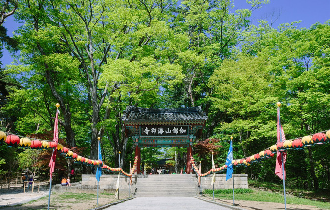 Premium South Korea			