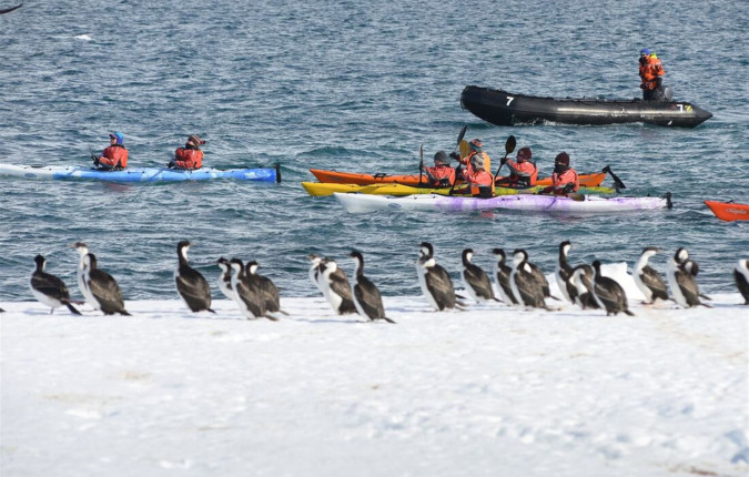 Best of Antarctica: Whale Discovery 