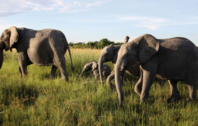 Premium Southern Africa in Depth