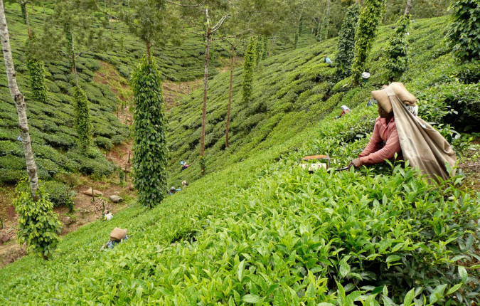 Premium North & South India