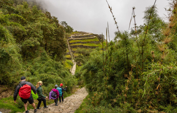 Premium Peru 