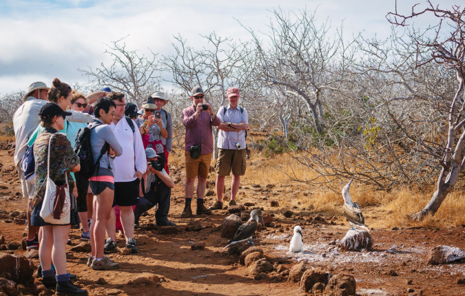 Galapagos Adventure: Northern Islands (Grand Daphne)