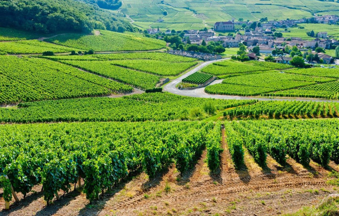 Loire Valley: Walks, Wine & Chateaux