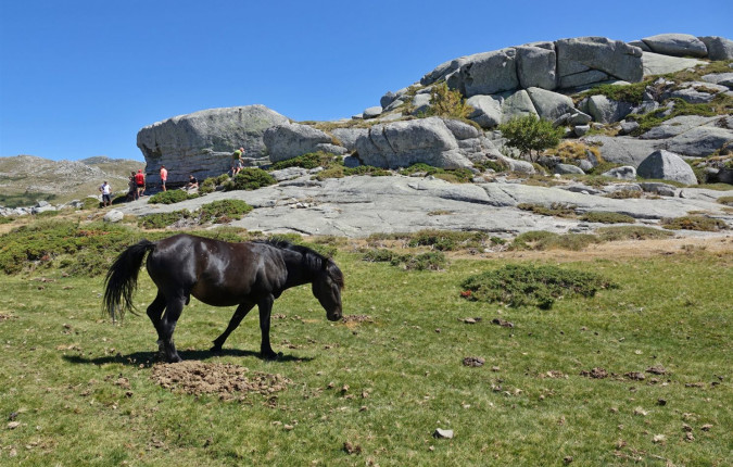 Trek the GR20 of Corsica