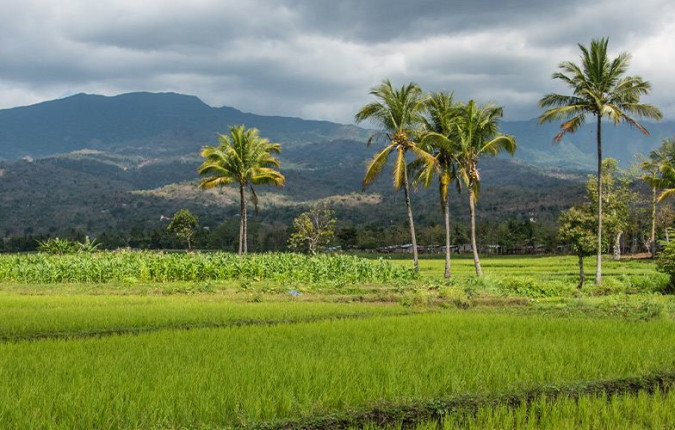 Timor-Leste Expedition