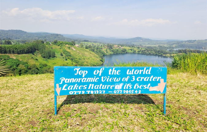 Chimps & Gorillas of Uganda