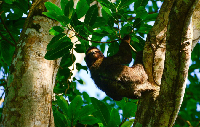 Costa Rica Adventure Family Holiday