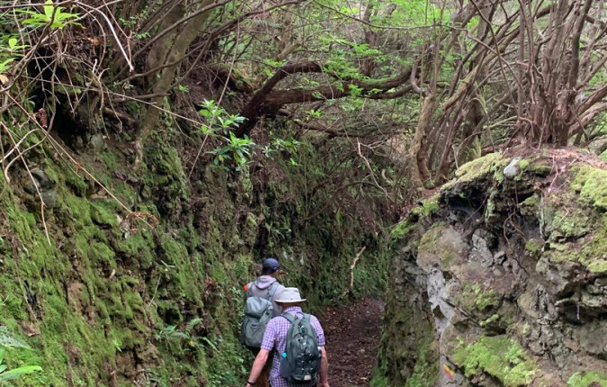 Walking the Island of Madeira