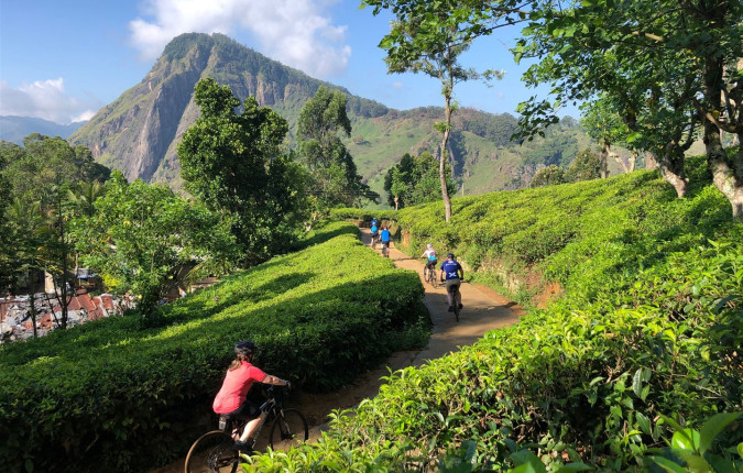 Cycle the Back Roads of Sri Lanka
