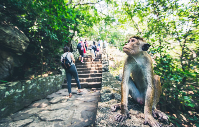 Simply Sri Lanka