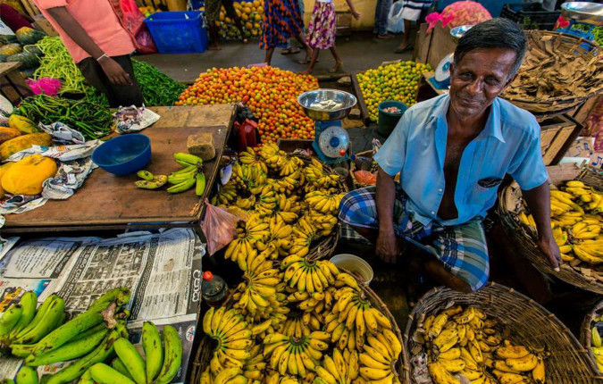 Premium Sri Lanka in Depth