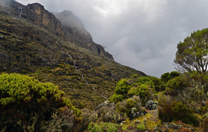 Kilimanjaro Climb - Lemosho Route