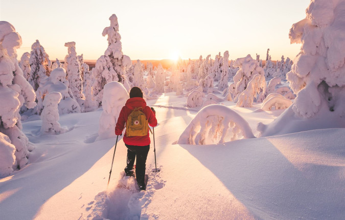 Cross-Country Skiing in Lapland