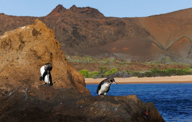 Galapagos Family Holiday