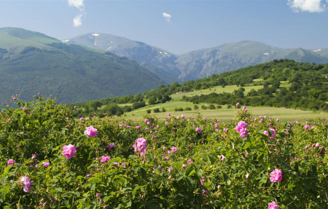 Grand Tour of Romania, Serbia & Bulgaria