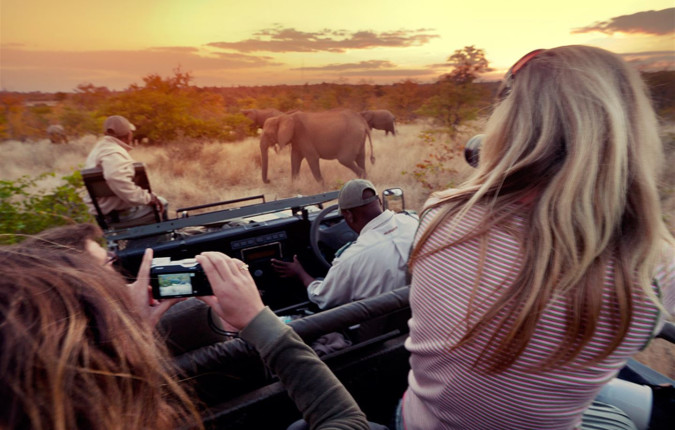 Journeys: Southern Africa Safari Experience