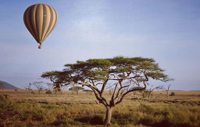 Ultimate Africa: Safari Drives & the Savannah