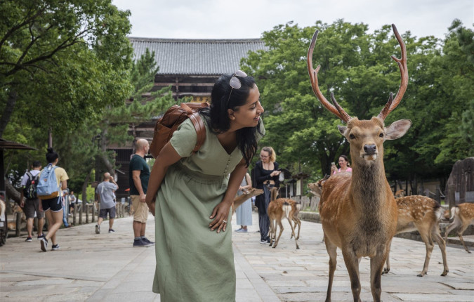 Journeys: Iconic Japan