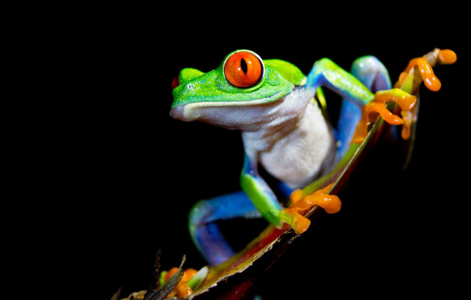 Costa Rica & Panama Discovery