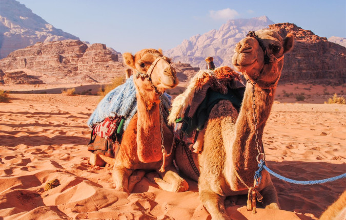 Petra & Wadi Rum by Bike