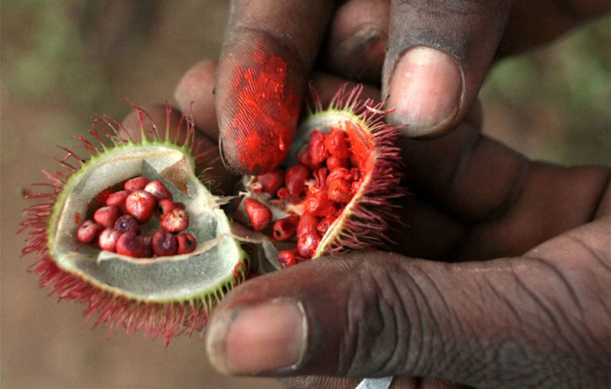East Africa Safari & Coast