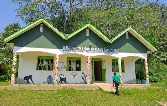 Chimps & Gorillas of Uganda
