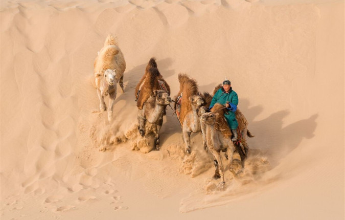 Trans-Mongolian Railway Adventure