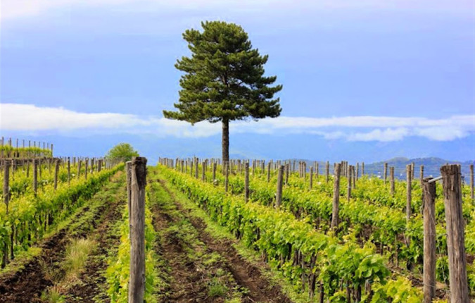 Treasures of Sicily