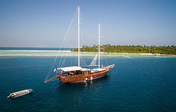 Marine Wildlife of the Maldives
