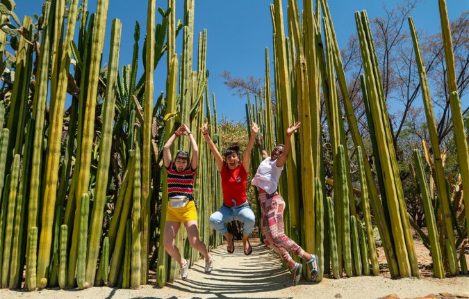 Best of Mexico