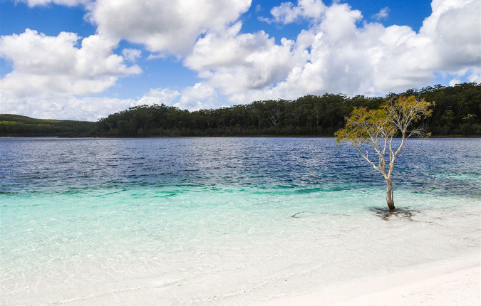 North Queensland Adventure