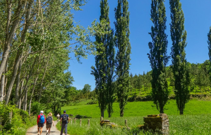 Trekking the Camino de Santiago