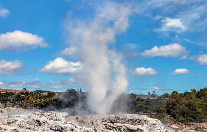 Premium New Zealand Encompassed