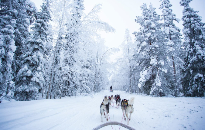 The Northern Lights of Finland