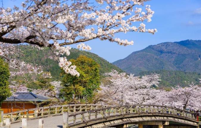 Highlights of Japan