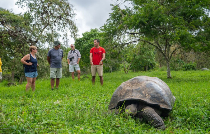Galapagos Encounter: Southern Islands (Grand Queen Beatriz)