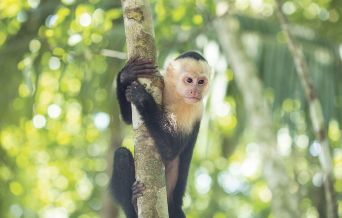 Costa Rica Active Adventure