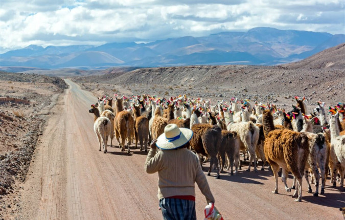 Real Bolivia & Argentina