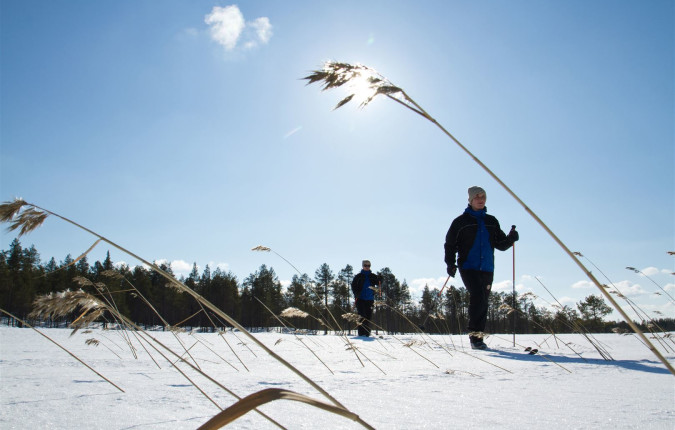 Finnish Wilderness Week