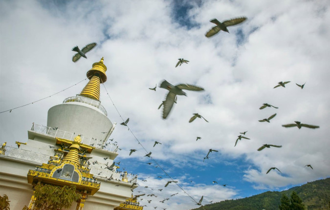Spirit of Bhutan
