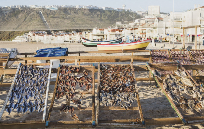 Porto to Lisbon Atlantic Ride