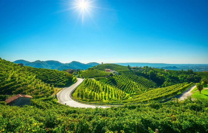 Walk The Prosecco Hills & Hidden Venice