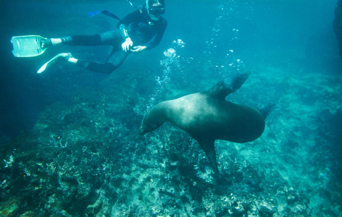 Ecuador Highlands & Galapagos 
