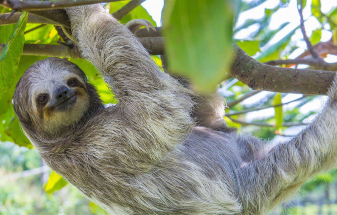 Highlights of Costa Rica
