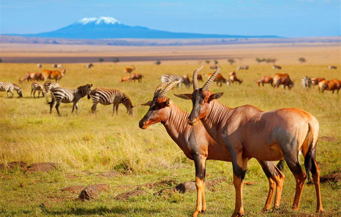 The Masai Heartlands