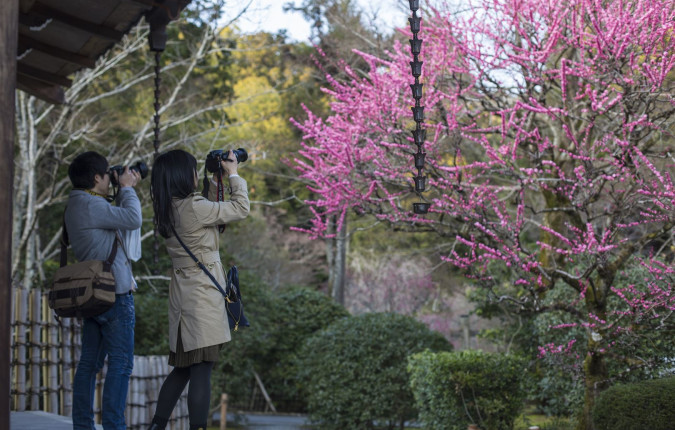 Epic Japan: Speed Trains & Street Food