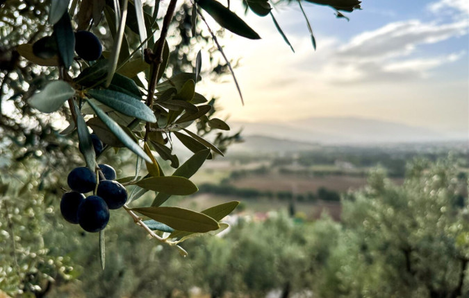 Cycling Puglia & Matera