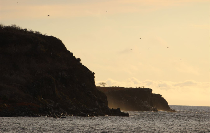 Galapagos Encounter - Archipel I (Itinerary A)