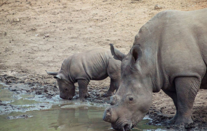 Southern Africa Overland Safari & Participation Camping